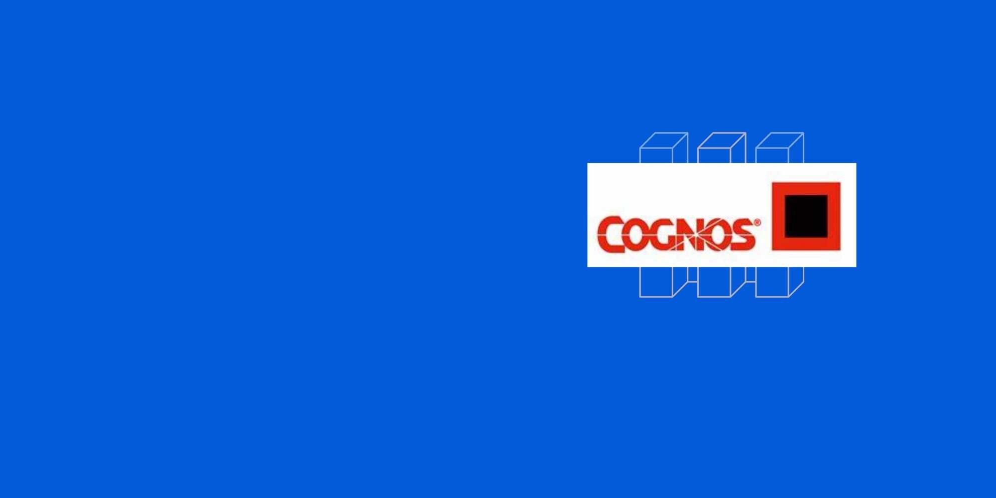 Cognos-Cube